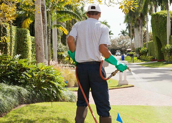 About Herman PA Pest Control
